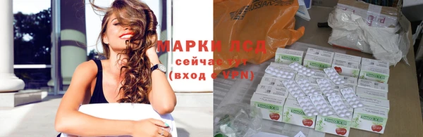 тгк Гусев