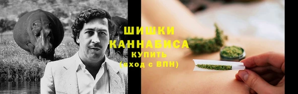 тгк Гусев