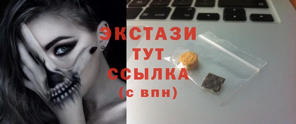 тгк Гусев