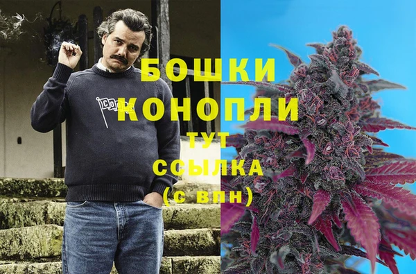 тгк Гусев