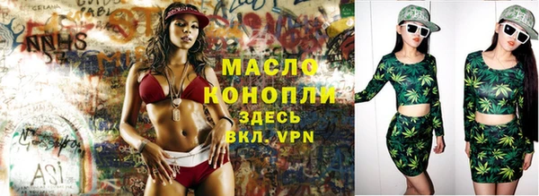 тгк Гусев