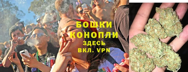 тгк Гусев
