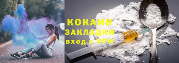 тгк Гусев