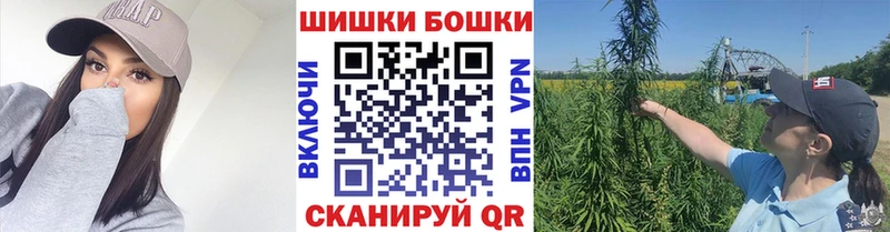 Купить закладки  Лыткарино  Бошки марихуана семена 
